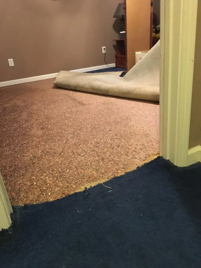 Carpet pad removal revealing water damage during Drying & Dehumidification in St. Helena
