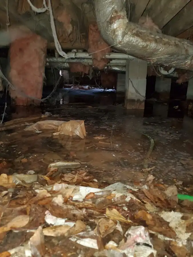 Crawl space flood assessment for Leak Detection & Repair in St. Helena