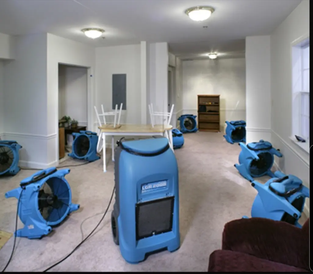 Air movers and dehumidifier setup for Water Extraction & Removal in St. Helena