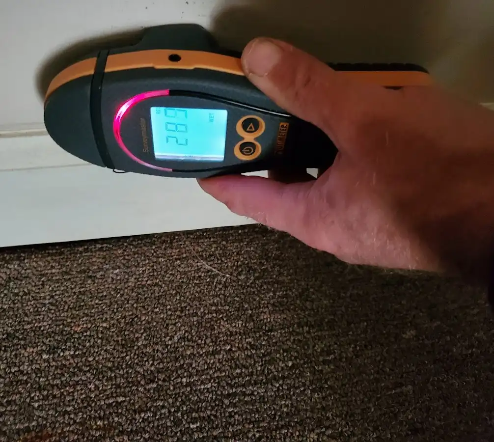 Moisture detection at baseboard during Sewage Cleanup & Sanitation in St. Helena